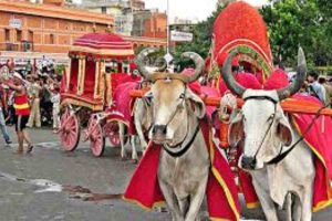 affordable hotels in Jaipur